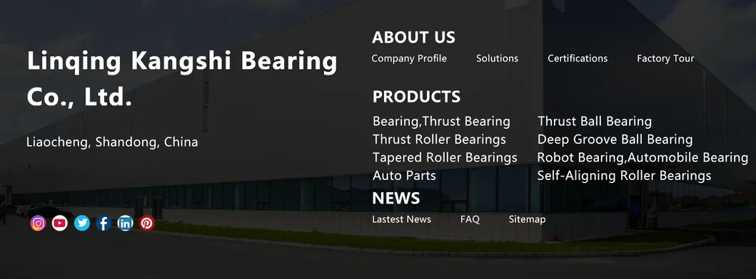 Bearing Steel Pressure Bearing Flat Thrust Ball Bearing Thrust Bearing 51405 51406 51407 51408 51409 Manufacturer of High Quality Thrust Bearing