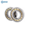 Auto Bearing, Wheel Bearing, Cylindrical Roller Bearing Automotive Mechanical Bearing Nu2317 Nu418 Nu2218 Nu2318 Nu419 Nu2219 for Automotive Parts Bearing