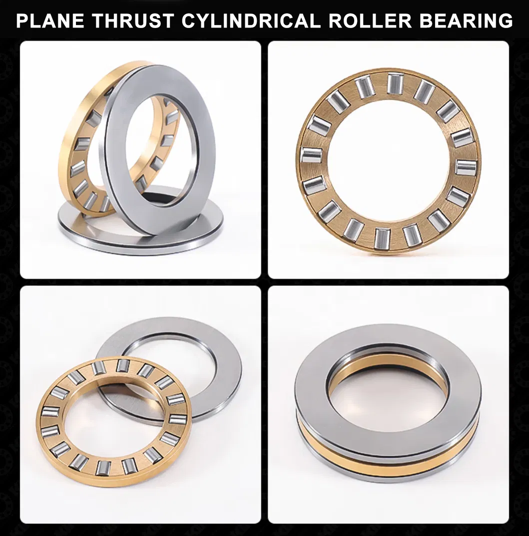 Cylindrical/Thrust Roller Bearing with Brass Cage for Industrial Bearings